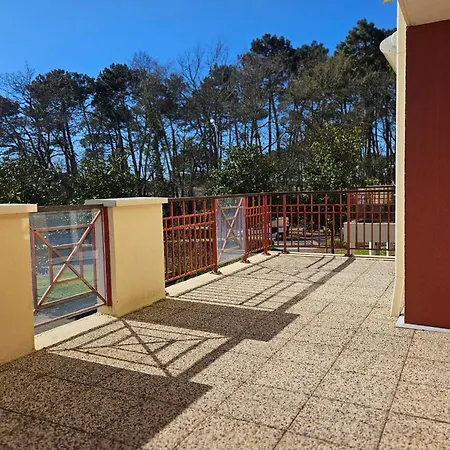 With Terrace In Apartment
